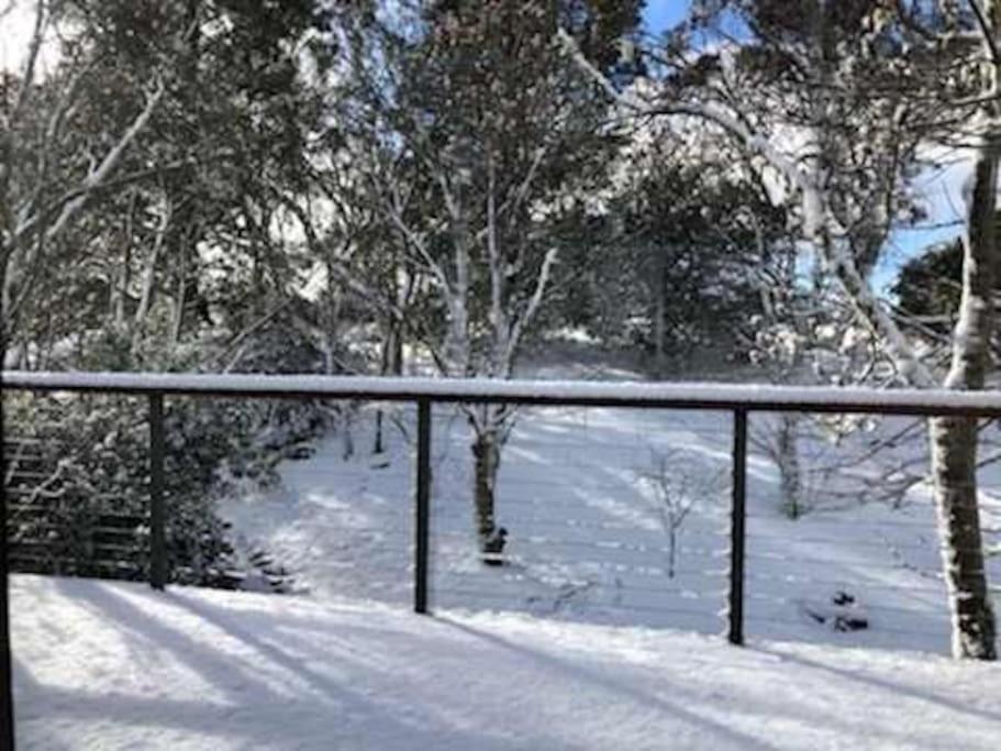 Narrow Neck Views - Peaceful 4 Bedroom Home With Stunning Views! Katoomba Exterior foto